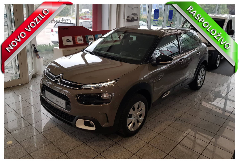 C4 Cactus Feel PureTech 110