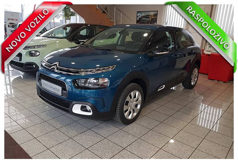 C4 Cactus Feel PureTech 110